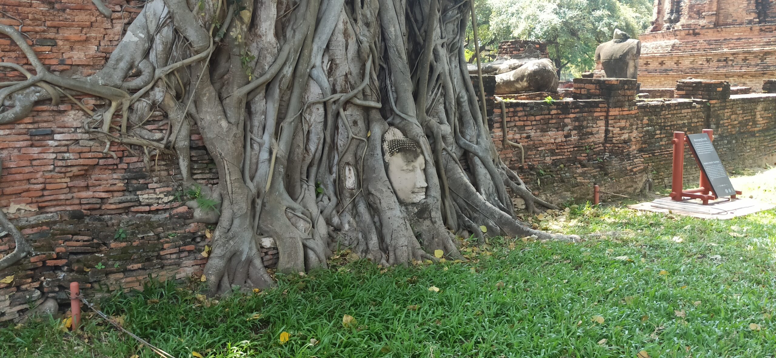 Wat Mahathat AYUTTHAYA