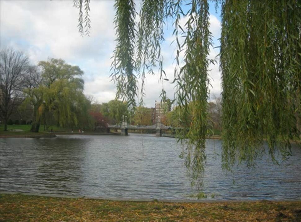 common-park boston