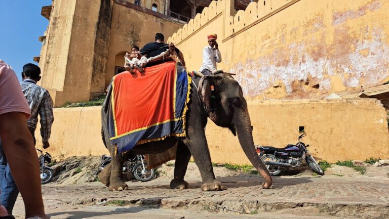 Itinerario por el Norte de la India: Guía Completa para tu Viaje 🌍