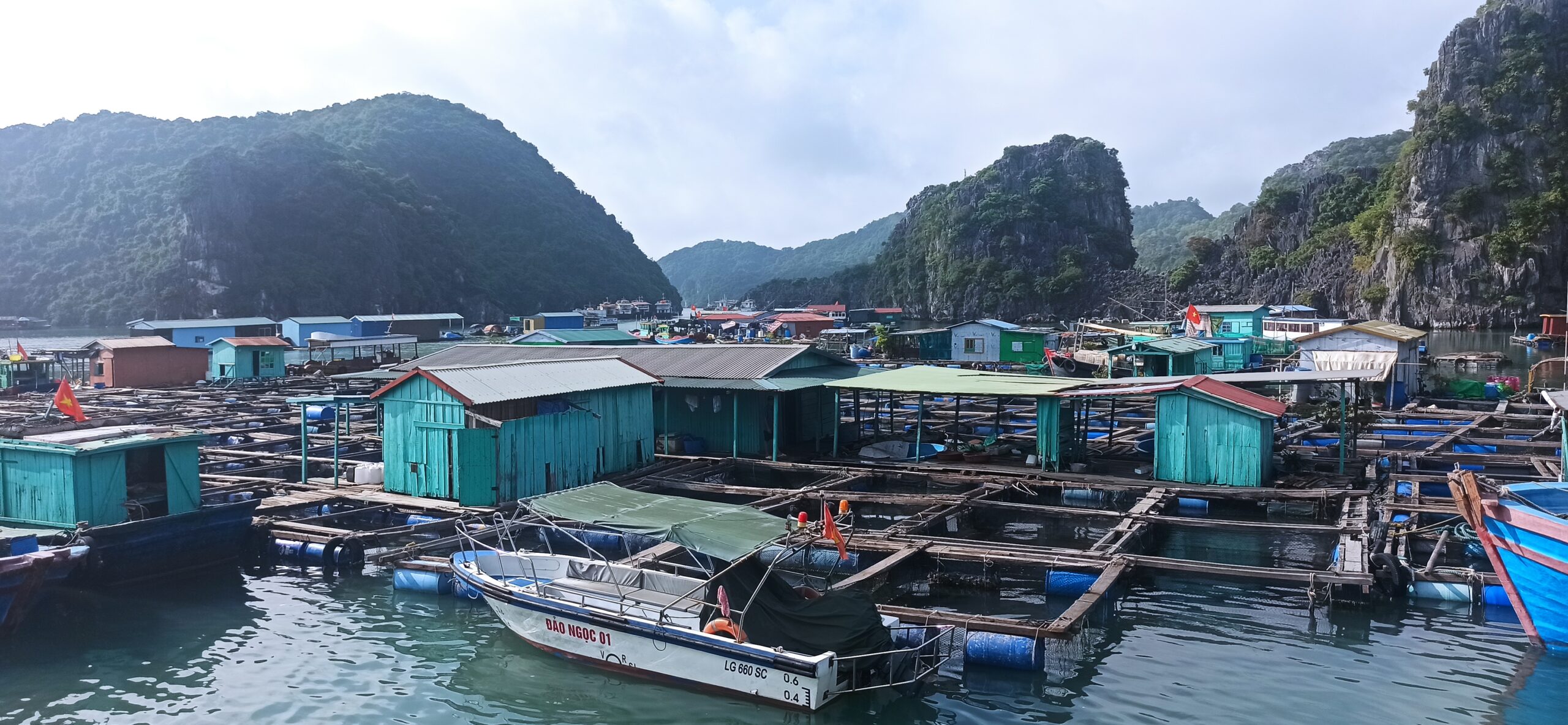 Un momento cualquiera en Cat Ba, Vietnam: tranquilo, real, sin turistas de Instagram. cat ba Un momento cualquiera en Cat Ba, Vietnam: tranquilo, real, sin turistas de Instagram. cat ba