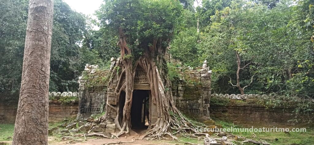 Segundo día en Angkor