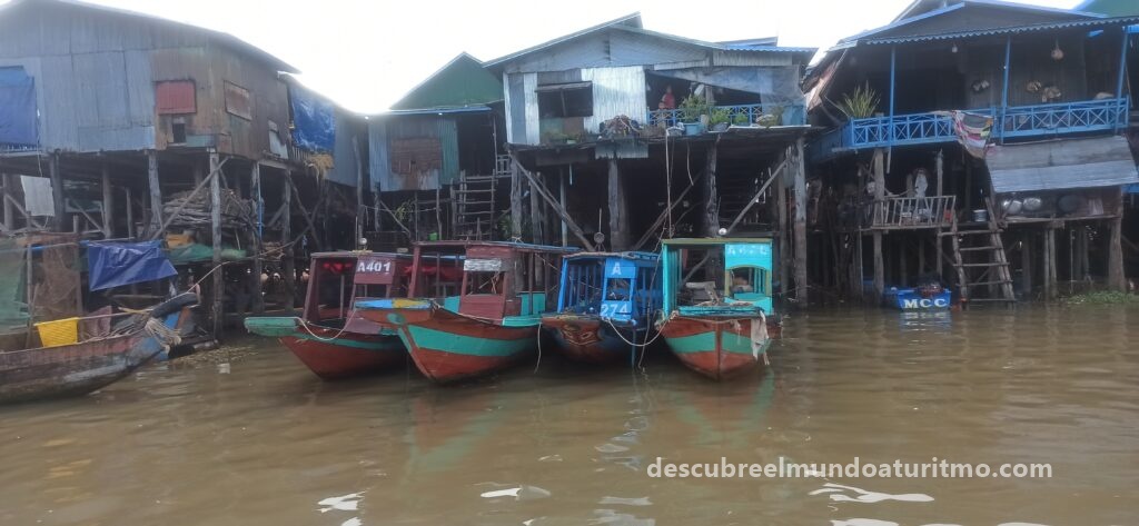 Comunidades flotantes en el lago Tonle Sap, Camboya Bosques inundados durante la temporada de lluvias en Tonle Sap Atardecer sobre las extensas aguas del lago Tonle Sap Pueblos flotantes y vida diaria en el corazón de Camboya , lago Tonle Sap, Pescadores en el mayor lago de agua dulce del sudeste asiático Comunidades flotantes en el lago Tonle Sap, CamboyaBosques inundados durante la temporada de lluvias en Tonle Sap Atardecer sobre las extensas aguas del lago Tonle Sap Pueblos flotantes y vida diaria en el corazón de Camboya lago Tonle Sap Pescadores en el mayor lago de agua dulce del sudeste asiático