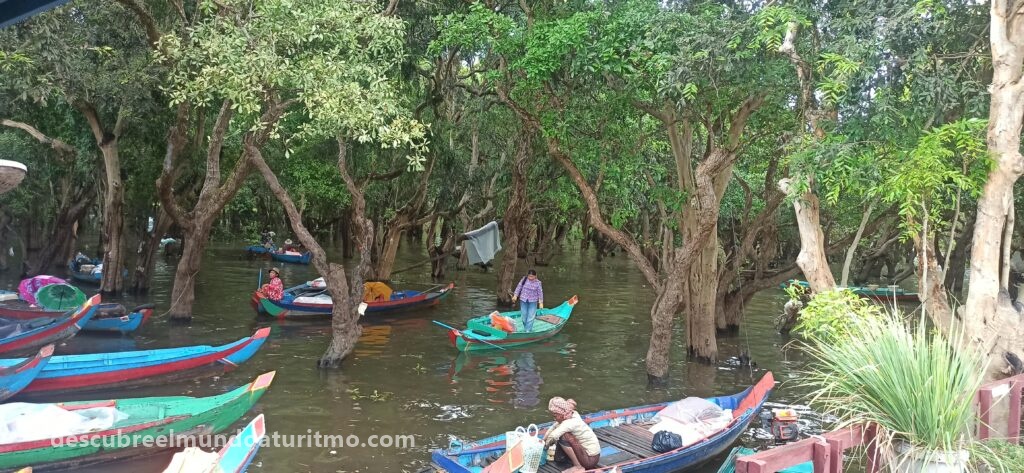 Comunidades flotantes en el lago Tonle Sap, Camboya Bosques inundados durante la temporada de lluvias en Tonle Sap Atardecer sobre las extensas aguas del lago Tonle Sap Pueblos flotantes y vida diaria en el corazón de Camboya lago Tonle Sap Pescadores en el mayor lago de agua dulce del sudeste asiático Comunidades flotantes en el lago Tonle Sap, CamboyaBosques inundados durante la temporada de lluvias en Tonle Sap Atardecer sobre las extensas aguas del lago Tonle Sap Pueblos flotantes y vida diaria en el corazón de Camboya, lago Tonle Sap Pescadores en el mayor lago de agua dulce del sudeste asiático