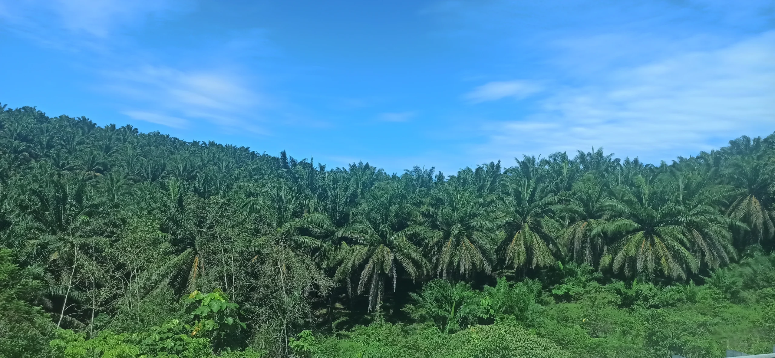 Interior de bus de larga distancia en Malasia, Comprar un billete de bus en KL para ir a Georgetown