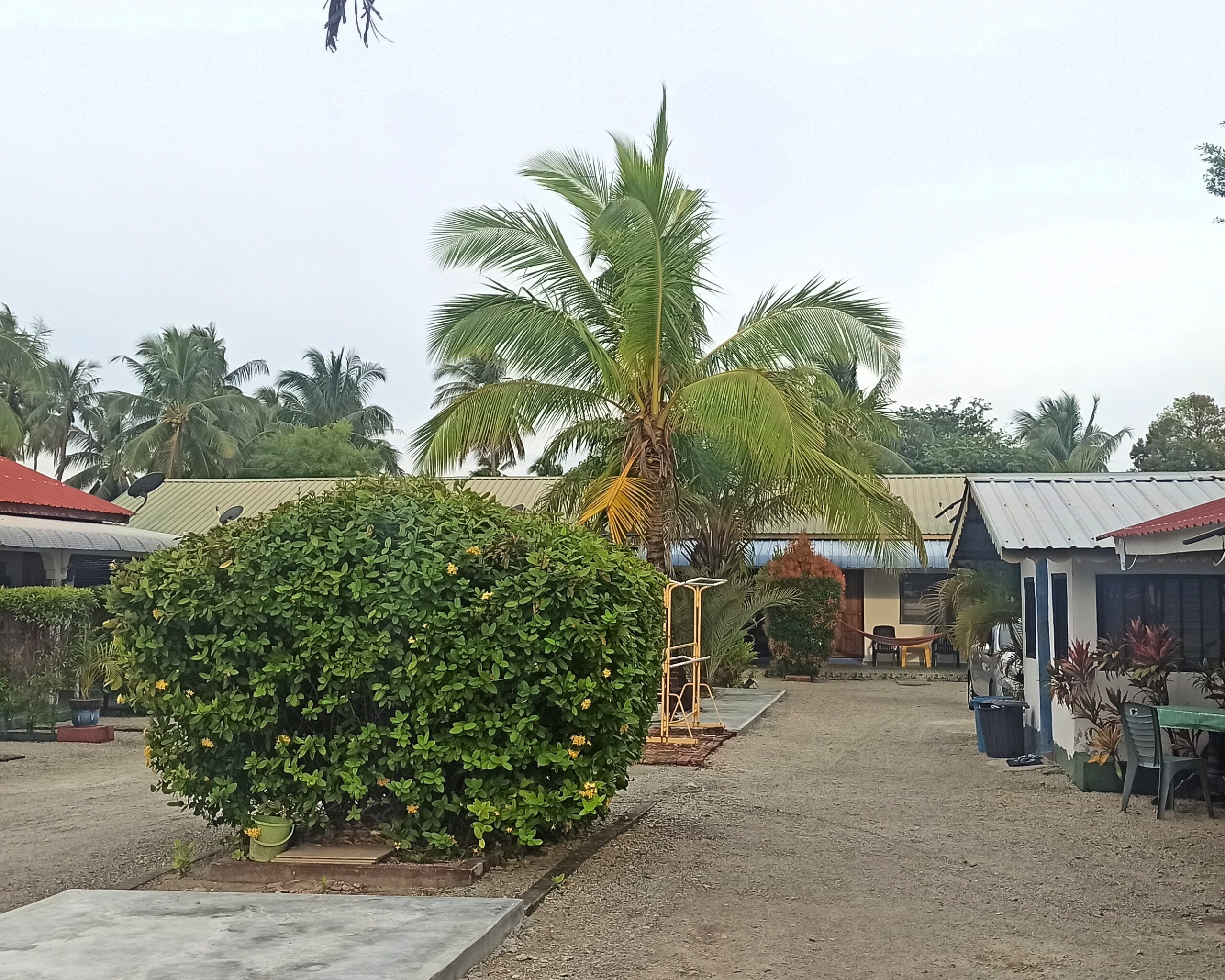 Hotel rainbow lodge langkawi