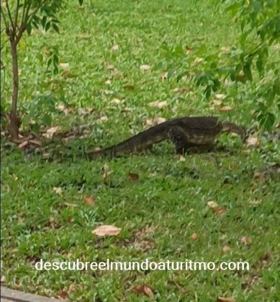 qué ver en Bangkok qué ver en Bangkok