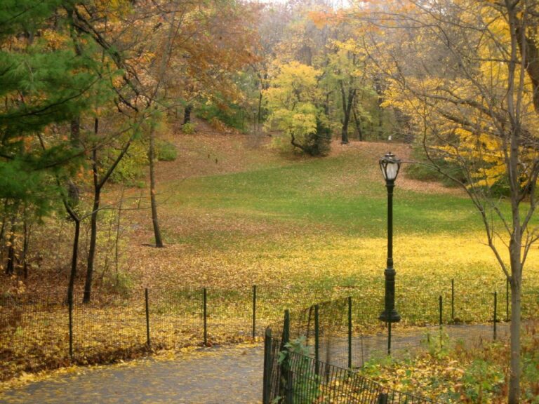 Un paseo por Central Park