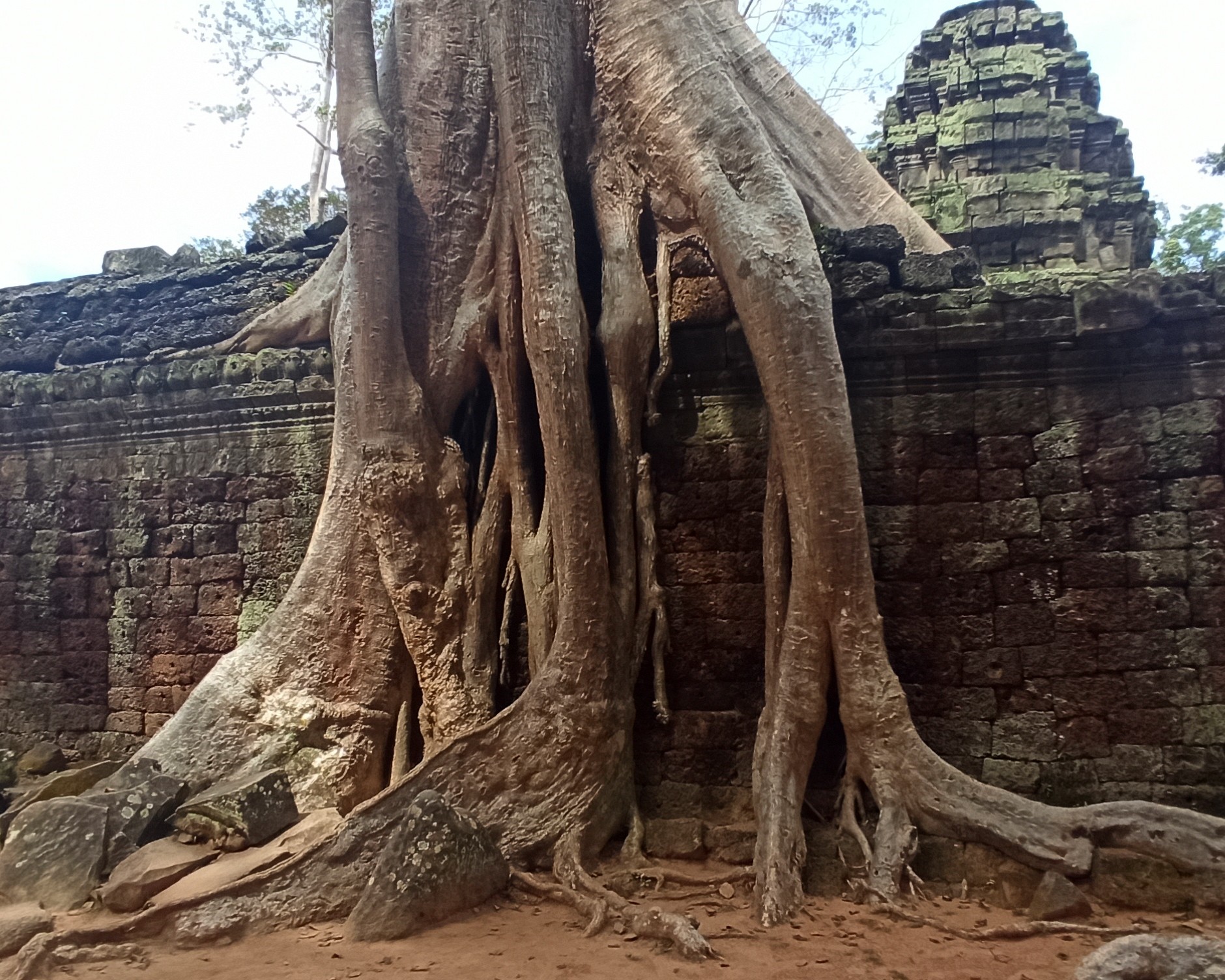 angkor wat
