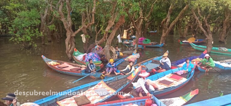 Guía de Camboya, Casas flotantes en el lago Tonle Sap, excursión desde Siem Reap Guía de Camboya, Casas flotantes en el lago Tonle Sap, excursión desde Siem Reap