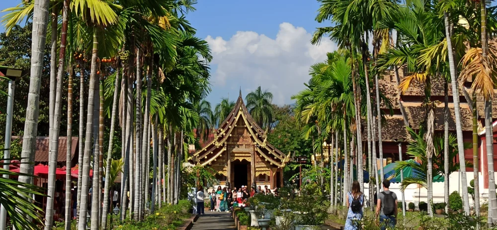 Viaje a Tailandia: Wat Phra Singh Chiang Mai con palmeras y templo dorado