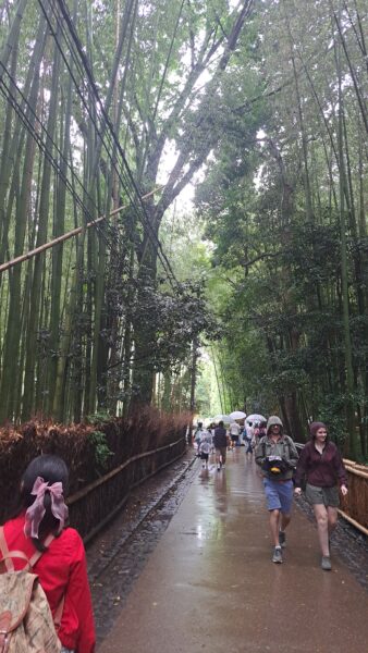 Arashiyama, Qué ver y hacer en Kioto Arashiyama, Qué ver y hacer en Kioto