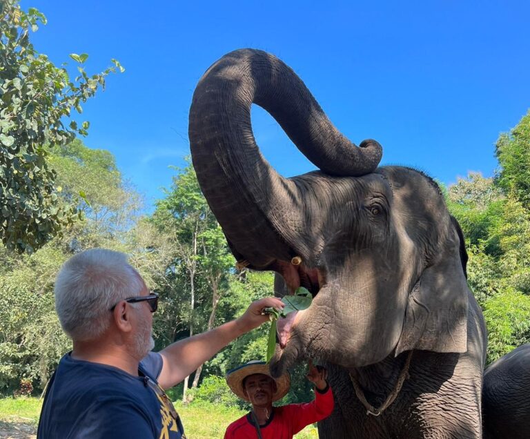 Excursión a los alrededores de Chiang Mai