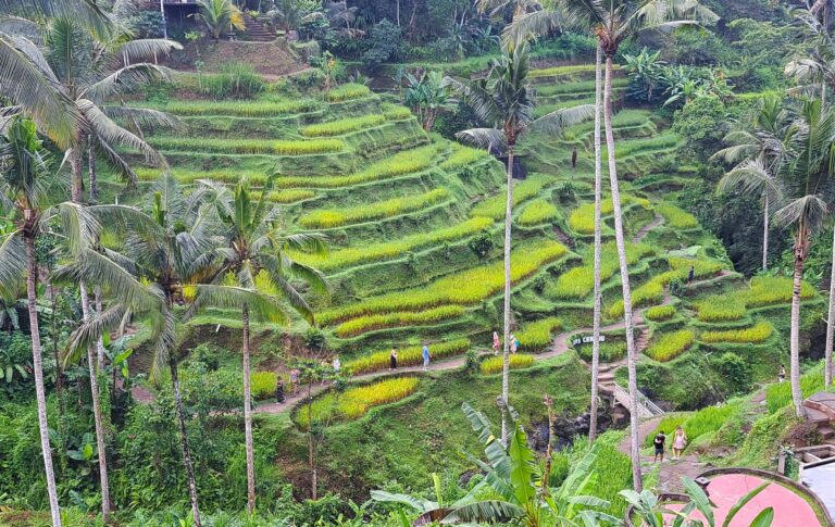 Recorrido en Moto por Tegallalang, Gunung Kawi, Tirta Empul y Kehen: La Ruta Perfecta en Bali