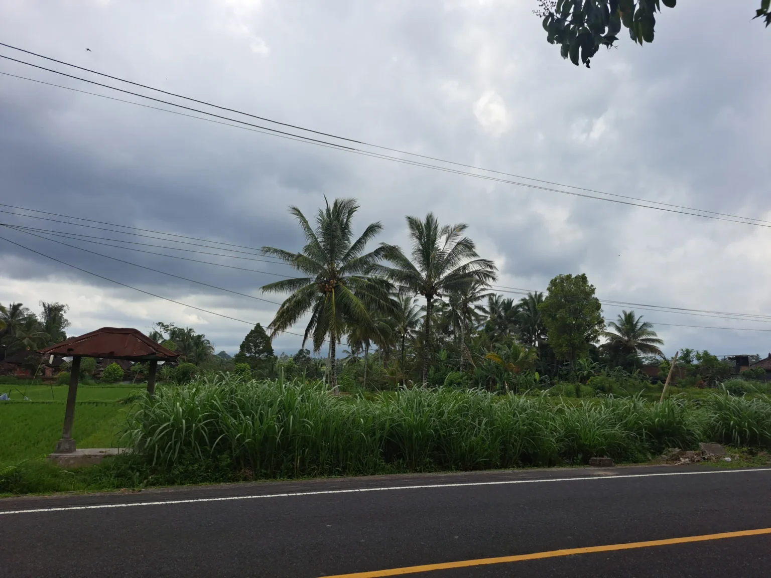 Carretera serpenteante de montaña hacia Pura Ulun Danu Bratan, Bedugul, Bali
