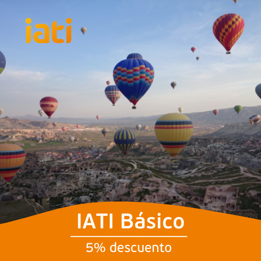 IATI+Básico+520x520+(6)