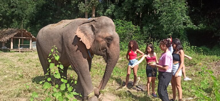 Mejores Excursiones de un día en Tailandia