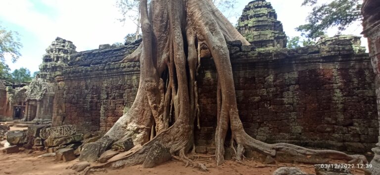 Angkor Wat, como llegar y comprar las entradas