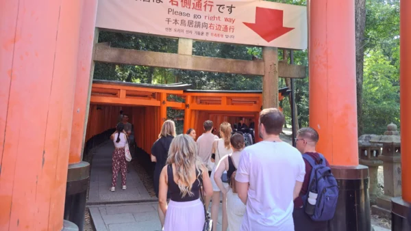 f inari, Fushimi Inari Taisha. Itinerario Kioto 3 días