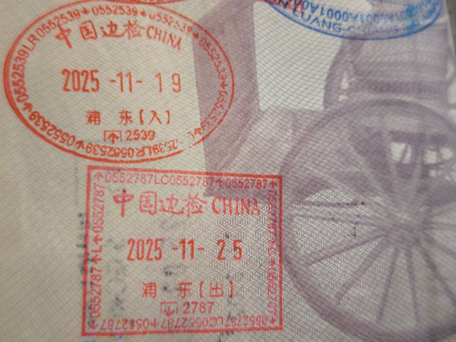 Entrada sin visado China 2026: aeropuerto internacional Beijing o Shanghái
