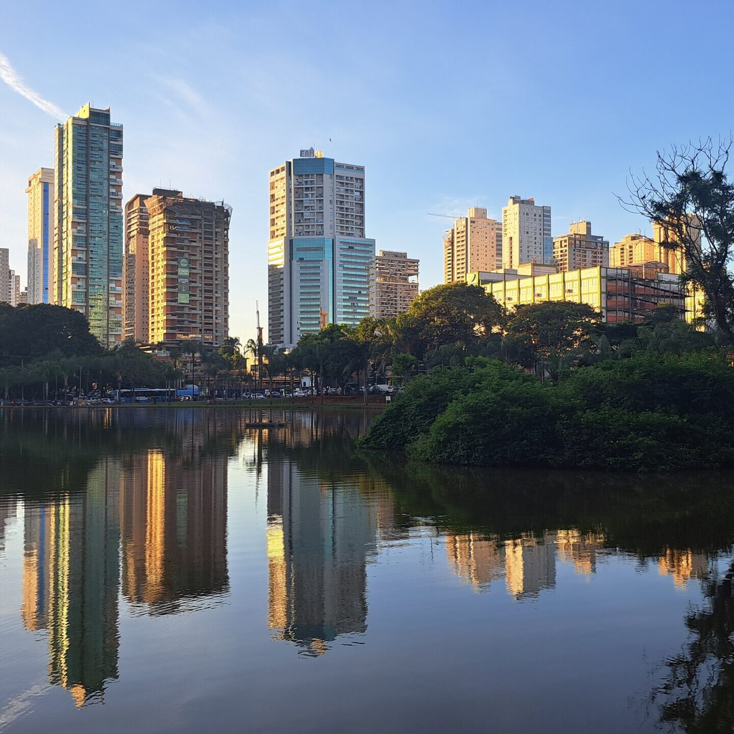 20250519_Vaca Brava, goiania brasil