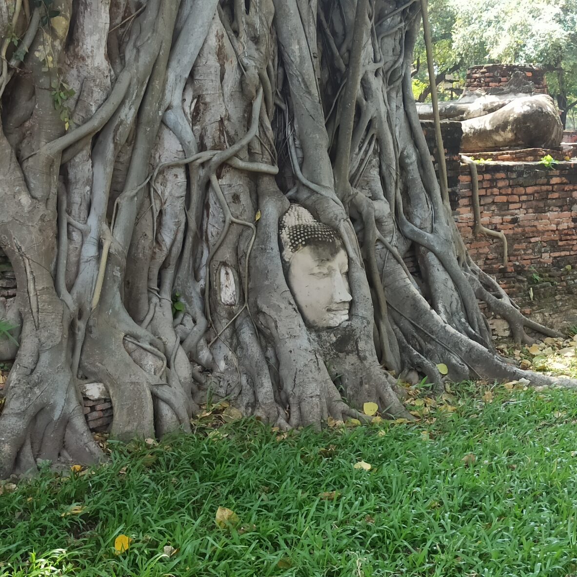 9 Wat Mahathat ayutthaya tailandia